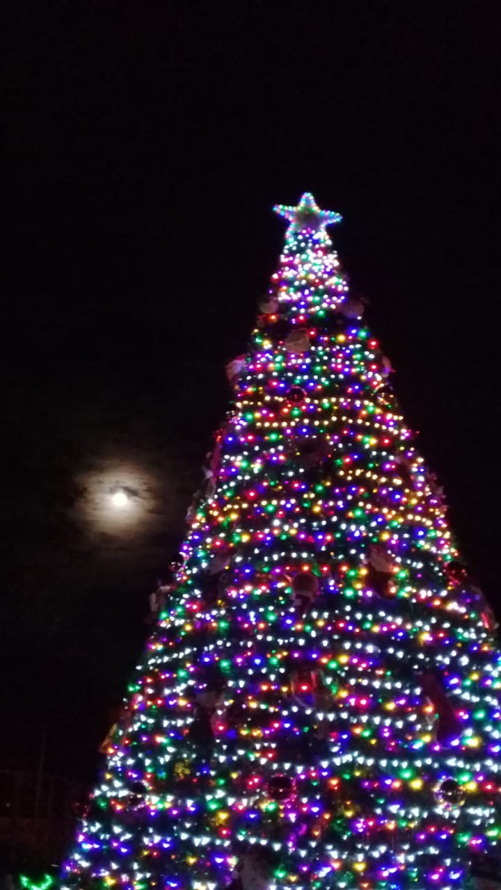 navidad2
